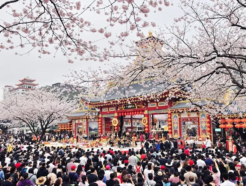 某城市樱花节开幕，为期一个月的春日庆典活动启动